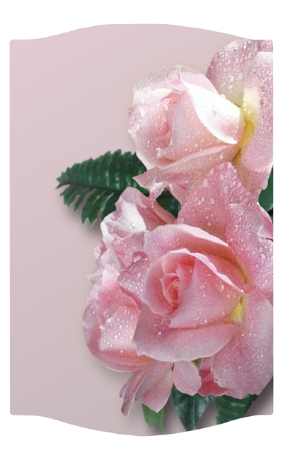 DNSLOG C 064 Bouquet Of Roses Pink 